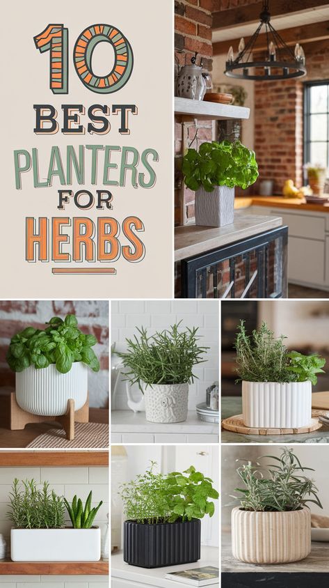 🌿 Discover the best planters to grow your favorite herbs indoors at home. These essential choices make it easy to cultivate fresh, aromatic herbs that elevate your cooking and home atmosphere. Find the perfect planter for your indoor herb garden! 🌟 Best Pots For Herbs, Spice Garden Indoor, Herbs On Window Sill, Potted Herbs In Kitchen, Herb Planter Ideas Indoor, Kitchen Herb Garden Ideas, Kitchen Herb Garden Indoor, Planters For Herbs, Growing Herbs Indoors