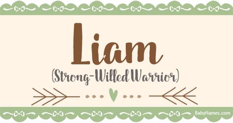 All about the name Liam: Meaning, origin, and popularity of Liam. What does Liam mean? Click for more information about the name Liam and thousands of other baby names. Unisex Baby Names, Name Origins, Gender Neutral Names, Female Names, Name Generator, Name Meaning, Kids Sleep, Baby Boy Names