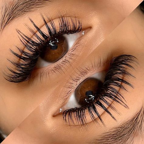 Lashes With Spikes, Classic Lashes, Natural Girls, Nature Girl, Bring Back, Eyelash Extensions, Be Perfect, Eyelashes, Lashes