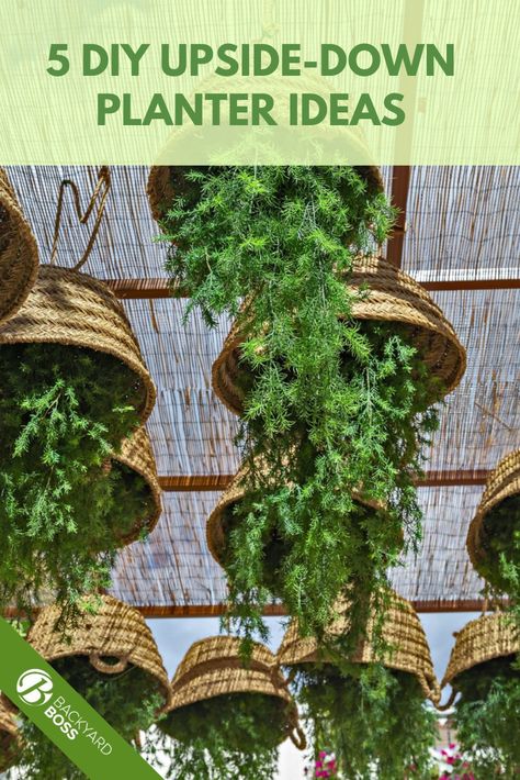 Upside-down gardening is an excellent and different way to build your home garden. Here are five DIY upside-down planter ideas to begin with and give your vertical garden a beautiful appearance. Upside Down Planting, Diy Vertical Garden Indoor, Diy Upside Down Planter, Hanging Garden Decorations, Upside Down Herb Garden, Upside Down Garden, Vertical Hanging Planter, Hanging Vegetable Garden Ideas, Vertical Gardening Indoor