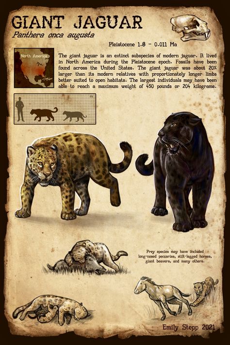 Megafauna Mammals, Most Dangerous Animals, Animal Infographic, Prehistoric Wildlife, Wild Kratts, Prehistoric World, X Male Reader, Dangerous Animals, Big Cats Art