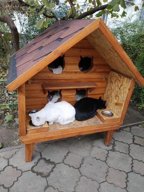 Feral Cat House Outdoor, Cat House Wood, Outdoor Cat House Diy, Carton House For Cats, Stray Cat House For Winter, Diy Cat House Outdoor Winter Wood, Outdoor Cat House Walmart, Outdoor Cat Shelter, Feral Cat House