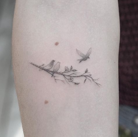 Three little birds. Thanks for letting me do this Bob Marley piece for you Lauren! Bird On Branch Tattoo, Bird Branch Tattoo, Tattoo On Foot, Tattoo Sonne, Small Bird Tattoos, Little Bird Tattoos, Tiny Bird Tattoos, Small Sister Tattoos, Bird Tattoos For Women