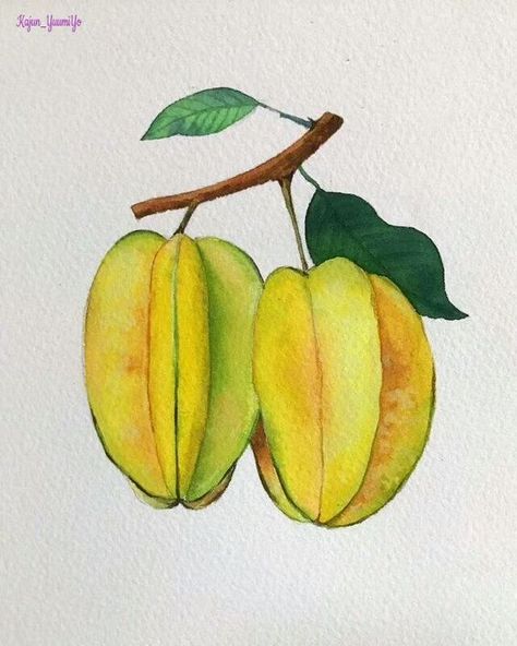 Vegetable Drawing, Fruit Art Drawings, Buddhist Art Drawing, Color Pencil Illustration, Watercolor Paintings Nature, Fruits Drawing, Nature Art Drawings, Colored Pencil Artwork, Canvas Drawing