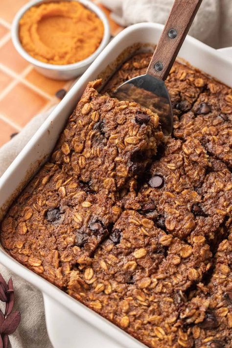 Enjoy the pumpkin recipe of your dreams with this Pumpkin Baked Oatmeal. Perfectly delicious and seasonally festive, this dish is perfect to enjoy as a breakfast, dessert, or mid-afternoon bite. Protein Pumpkin Oatmeal Bake, Oatmeal With Chocolate Chips, Oatmeal With Chocolate, Pumpkin Baked Oatmeal, Baked Pumpkin Oatmeal, Pumpkin Recipes Healthy, Pumpkin Recipe, Baked Oatmeal Recipes, Mid Afternoon