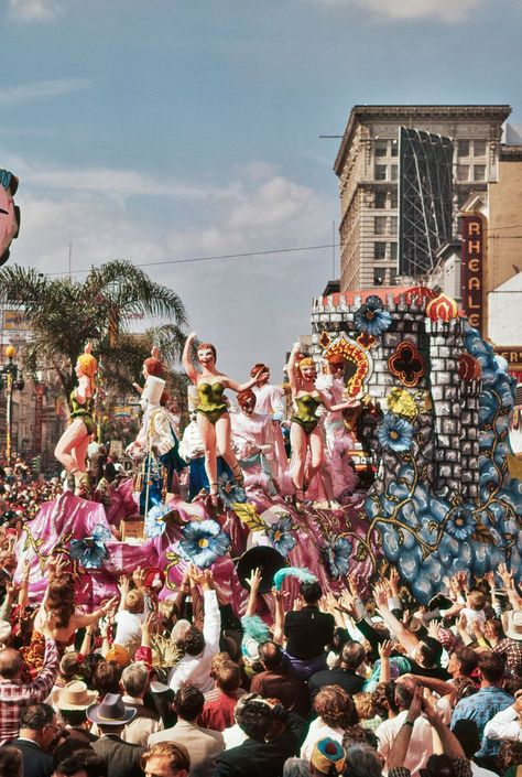 Is there any bigger party than that in New Orleans for Mardi Gras? City Tree, Mardi Gra, Spring City, New Orleans Mardi Gras, Mardi Gras Decorations, New Orleans Travel, Bourbon Street, Mardi Gras Party, King Cake