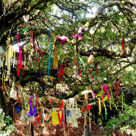 Beltane Aesthetic Pagan, Sabbath Wheel, Beltane Party, Rocks Garden Ideas, Gardens With Rocks, Beltane Festival, Beltane Aesthetic, Celtic Holidays, Happy Beltane