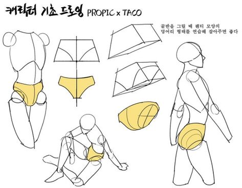 Taco 1704, Hips Anatomy, Taco Anatomy, Point Character Drawing, Taco Drawing, Anatomy Tutorial, Body Drawing Tutorial, Human Anatomy Drawing, Manga Drawing Tutorials