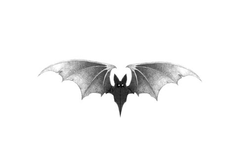 Bat Pencil Drawing, Vintage Bat Drawing, Bat And Moon Tattoo Ideas, Vintage Bat Art, Bat Tatoos Ideas, Bat Tattoo Simple, Upside Down Bat Tattoo, Bat Tattoo Stencil, Gothic Bat Tattoo