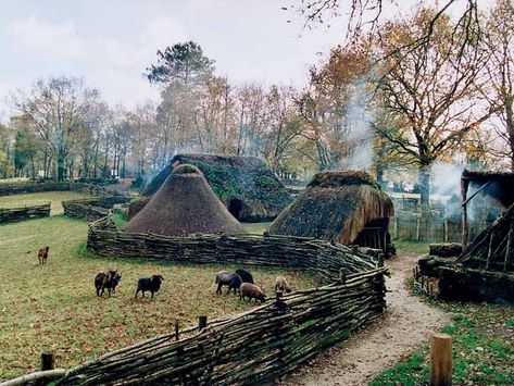 Vila Medieval, Viking Village, Medieval Aesthetic, Medieval Village, Medieval Houses, Medieval Life, Medieval World, Fantasy Aesthetic, Dark Ages