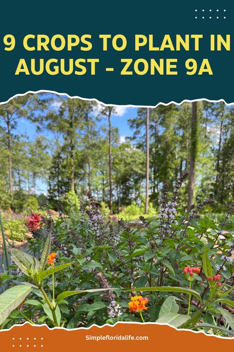 North Florida Garden, Zone 9a Planting Schedule, Zone 9a Gardening, North Florida Gardening, What To Plant In August, Girly Garden, Zone 9 Gardening, Garden 101, Garden Checklist