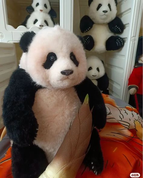 🐼🌟 Fall in Love with Our Realistic Panda Dolls! 🌟🐼 Ever wished for a panda as a pet? Our handmade panda dolls are the next best thing! Each doll is crafted with incredible attention to detail, making them look just like the real deal. Perfect for cuddles, decor, or a special gift. Find your new friend at ipandadoll.com. #PandaDreams #HandcraftedWithLove #RealisticPandaDolls #PandaPassion #ipandadoll Natalie Jane, Big Doll, Cute Toys, Cute Panda, New Friends, Animals And Pets, Special Gift, Fall In Love, Special Gifts