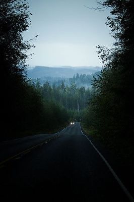 Car In The Woods, Forks Washington, Washington State Travel, Empty Road, Wa State, Oregon Washington, Olympic Peninsula, The Twilight Saga, Twilight Saga