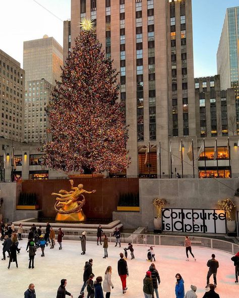 Christmas In Nyc Aesthetic, New York Winter Aesthetic, Christmas In New York City Aesthetic, New York New Years Eve, Nyc Birthday, Christmas In New York City, Nyc In December, Holidays In New York, Rockefeller Center Christmas Tree