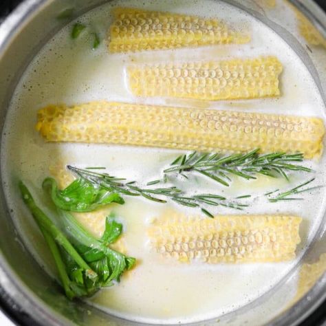 Instant Pot Corn Stock - Legally Healthy Blonde Leftover Corn, Instant Pot Corn, Corn Stock, How To Make Corn, Pot Dinners, Cranberry Chutney, Corn Cob, Corn Soup, Corn On Cob