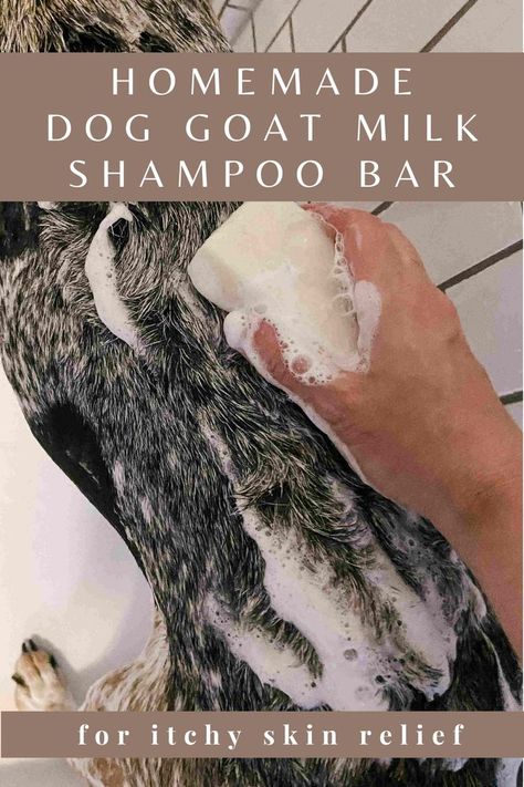 Dog Shampoo Recipe, Diy Shampoo Bar, Itchy Dog Skin, Diy Dog Shampoo, Homemade Dog Shampoo, Goat Milk Soap Recipe, Dog Dry Skin, Dog Shampoo Bar, Shampoo Bar Recipe