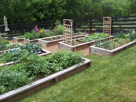 Raised Bed Herb Garden, Raised Herb Garden, Garden Bed Layout, Shade Garden Design, Small City Garden, Building Raised Garden Beds, Building A Raised Garden, Herb Garden Design, Garden Vines