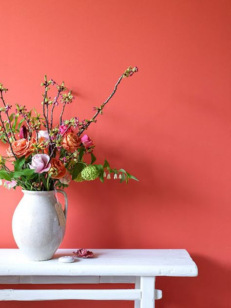 Yummy coral wall - how fantastic?! Let's all paint a room terra cotta salmon pink!  I love flowers... and I really love displaying them in creative containers like vintage pitchers and urns.  @KimTimmerman is awesome. Coral Walls, Live Coral, Living Coral, Interior Paint Colors, Pink Wall, Bedroom Paint, Painting Bathroom, Living Room Paint, Room Paint