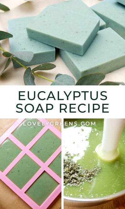 Eucalyptus Soap Recipe, Eucalyptus Soap, Types Of Olives, Survival Preparedness, Herbal Soap, Soap Making Recipes, Eucalyptus Globulus, Dried Eucalyptus, Mini Milk