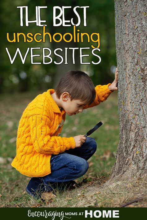 Unschooling - Websites, Resources, Information to Inspire Unschooling Resources, American States, Homeschool Education, Life Learning, Homeschool Learning, Homeschool Life, Homeschool Help, Homeschool Planning, Free Homeschool