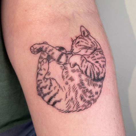 Cat Tattoo Design, Cat Tattoo Simple, See Tattoo, Cute Cat Tattoo, Special Tattoos, 4 Tattoo, Cat Tattoos, Cat Tattoo Designs, Back Tattoo Women