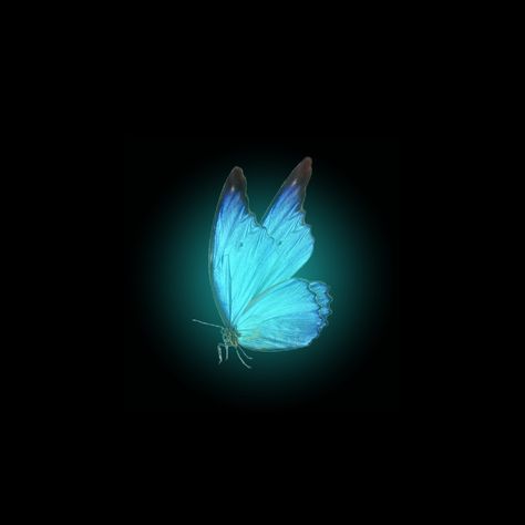 Lightning Images, Red Color Background, Broken Screen Wallpaper, Iphone Wallpaper Classy, Nature Art Drawings, Scary Tattoos, Black Background Photography, Butterfly Background, Green Background Video