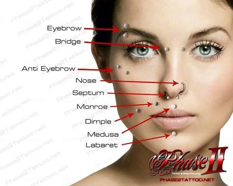 Ornamental dress Piercing chart 2 Different Piercings Face, Piercing No Rosto, Piercings Mouth, Piercing Facial, Anti Eyebrow, Shots Snap, Piercing Bouche, Piercings Nose, Tongue Piercings