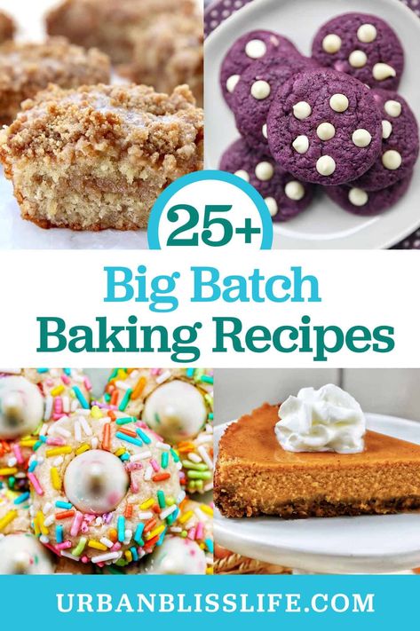 Need to bake something delicious to feed a crowd? From cookies to cakes, from pies to dessert bars, you'll find 25+ of the best big batch baking recipes in this collection at UrbanBlissLife.com. Best Large Batch Cookies, Big Batch Cookies Recipes, Large Batch Cupcake Recipe, Large Batch Cookies, Big Batch Cookies, Dessert To Feed A Crowd, Drop Sugar Cookies, Batch Baking, Banana Coffee Cakes