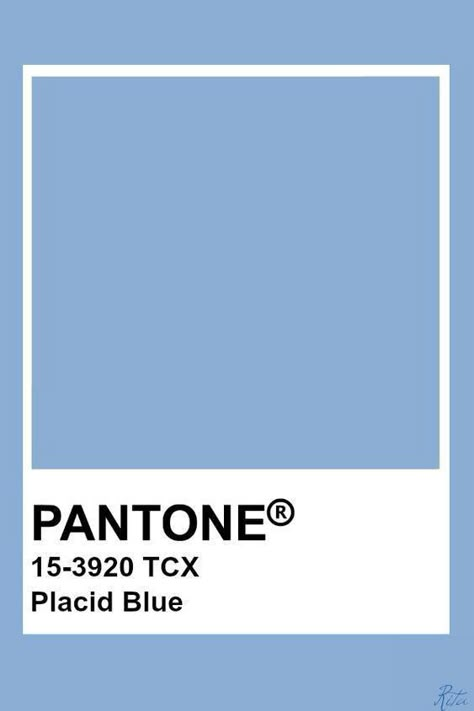 Placid Blue Aesthetic, Bright Blue Pantone, Notes Palette, Tcx Pantone, Bleu Pantone, Pantone Azul, Pantone Tcx, Neutral Skin, Pantone Color Chart