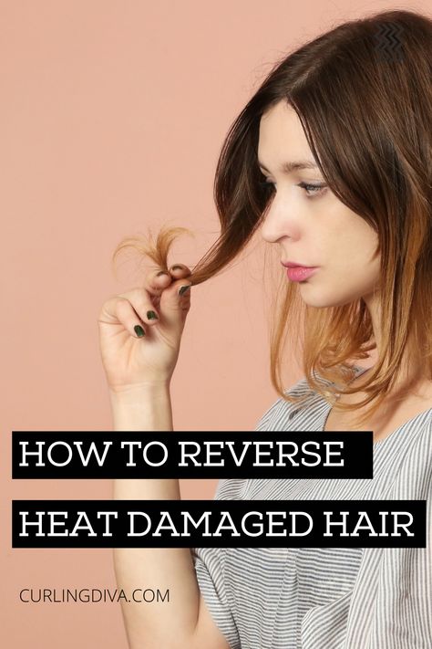 fix hair breakage Hair Repair Diy, How To Protect Hair From Heat Damage, Natural Hair Repair, Heat Damaged Hair Repair, Damaged Hair Diy, How To Fix Heat Damaged Hair, Damaged Curly Hair, Hair Breakage Around Face, How To Prevent Hair Breakage