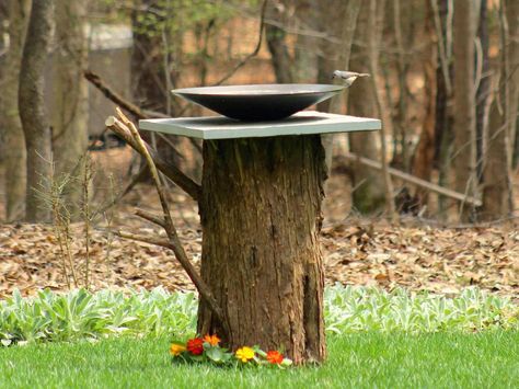 7 DIY Tree Stump Creative Ideas Tree Stumps Diy, Diy Bird Bath, Hgtv Garden, Bird Bath Garden, Diy Tree, Diy Birds, Homemade Diy, Old Tree, Old Trees