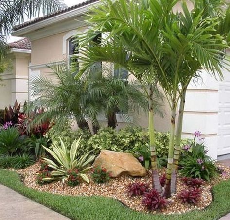 Palm Trees Garden, Landscape Ideas Front Yard Curb Appeal, Palm Trees Landscaping, Front Yards Curb Appeal, Small Garden Landscape, Florida Landscaping, Tropical Garden Design, Small Front Yard Landscaping, Tropical Backyard