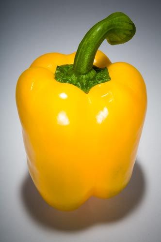 , Yellow Bell Pepper, Capsicum Photography, Bell Pepper Food Art, Healthy Pepper Steak Recipe, Bell Pepper Photography, Red Pepper Photography, Pepper Steak Recipe, Stuffed Peppers Healthy, Veggie Art