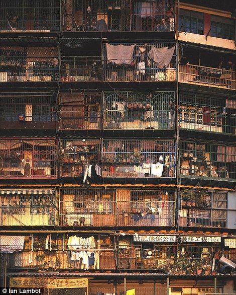 Residents lived in cramped quarters and used their balconies to store belongings... Hong Kong Kowloon Walled City, Hong Kong Slums, Hongkong Apartment, Dense City, Hong Kong Building, Hong Kong Apartment, Kowloon Walled City, Apartment Block, Distant Memory