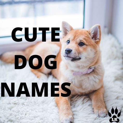 Cutest Dog Names, Puppy Names Unique, Cute Dog Names, Small Dog Names, Cute Puppy Names, Boy Dog Names, Puppy Ideas, Girl Dog Names, Best Dog Names