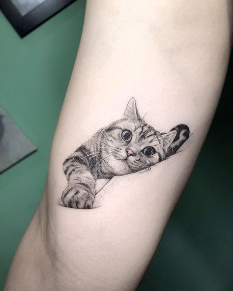 Realism Cat Tattoo, Tabby Cat Tattoo, Realistic Cat Tattoo, Cat Portrait Tattoo, Tattoo Gato, Cute Animal Tattoos, Tier Tattoo, Cute Cat Tattoo, Shape Tattoo