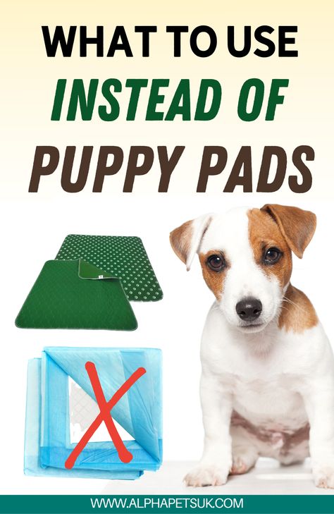 How To Train A Dog To Use Potty Pads, Diy Puppy Pee Pads, Potty Patch For Dogs Diy, Wee Wee Pad Ideas, How To Potty Train A Puppy On A Pad, Pad Training A Puppy, Dog Pads Care Diy, How To Train A Puppy To Pee On Pad, Indoor Pee Area For Dogs