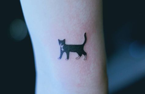 Cat Tattoo Tuxedo, Tuxedo Cat Tattoo, Tiny Cat Tattoo, Cat Face Tattoos, Tattoo Gato, Tattoos 2023, Cat Tattoo Ideas, Cat Tattoo Simple, Memories Ideas