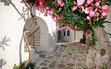 Greece - flowers, streets, village, travel, flower, greece Greece Wallpaper, Santorini Grecia, Santorini Island Greece, Santorini Island, Photo Decor, Poster Pictures, Santorini Greece, Bougainvillea, Mediterranean Style