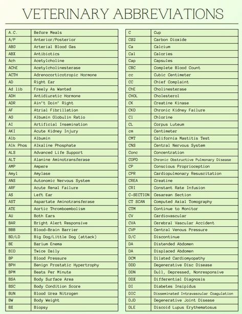 Are you a dedicated veterinary medicine student looking to conquer the world of veterinary terminology and abbreviations? Look no further! Our comprehensive "The Ultimate Guide to Veterinary Medical Abbreviations and Terminology" is here to assist you in mastering the language of veterinary science. What's Included: *Over 200 commonly used abbreviations in veterinary medicine. *A collection of frequently utilized symbols and their meanings. *Listings of essential prefixes and suffixes to empower Vet Terminology, Veterinary Terminology, Veterinary Medicine Student, Medical Abbreviations, Vet Tech School, Symbols And Their Meanings, Vet Tech Student, Vet Technician, Veterinary Studies