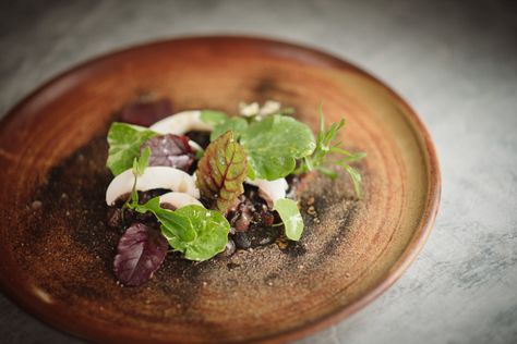 Venison tartare with walnut ketchup, pine oil and mushrooms Venison Tartare, Pickled Walnuts, Tartare Recipe, Ketchup Recipe, Pine Oil, Mushroom Recipe, Great British Chefs, Walnut Recipes, Mushroom Powder