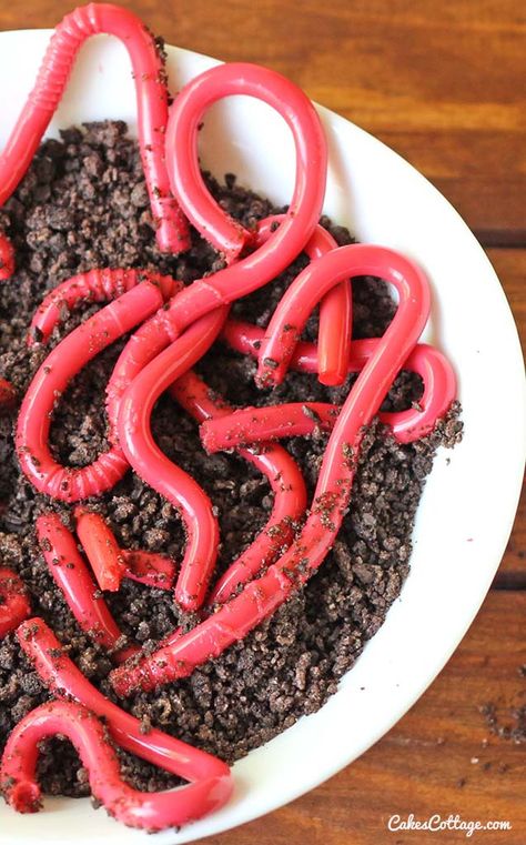 Worm Cake, Jelly Worms, Halloween Jelly, Oreo Dirt, Postres Halloween, Recetas Halloween, Kids Halloween Food, Ghost Cupcakes, Halloween Food Appetizers