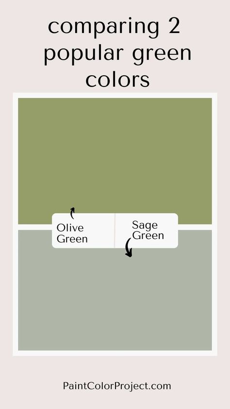 Olive green vs Sage green - what is the difference? - The Paint Color Project Sage Vs Olive Green, Olive Green Vs Sage Green, Pebble Decor, Shades Of Green Paint, Olive Green Shades, Bridesmaid Color Palette, Shades Of Olive Green, Bridesmaid Color, Olive Green Paints