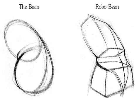 Anatomy-of-the-Pelvis-blog-2 Pelvis Bone Drawing, Bean Method Anatomy, Proko Figure Drawing, Male Pelvis Anatomy, Pelvis Sketch, Pelvis Drawing Anatomy, Drawing Pelvis, How To Draw Pelvis, Anatomy Basic Shapes