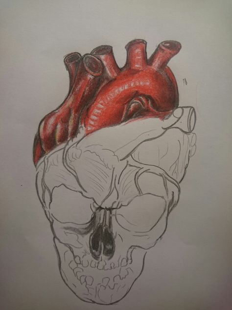 Drawing Skull heart tattoo sketch Skull Heart Tattoo, Sketch Skull, Sketchbook App, Skull Drawings, Drawing Heart, Heart Skull, Drawing Skull, Skulls Drawing, Art Pen