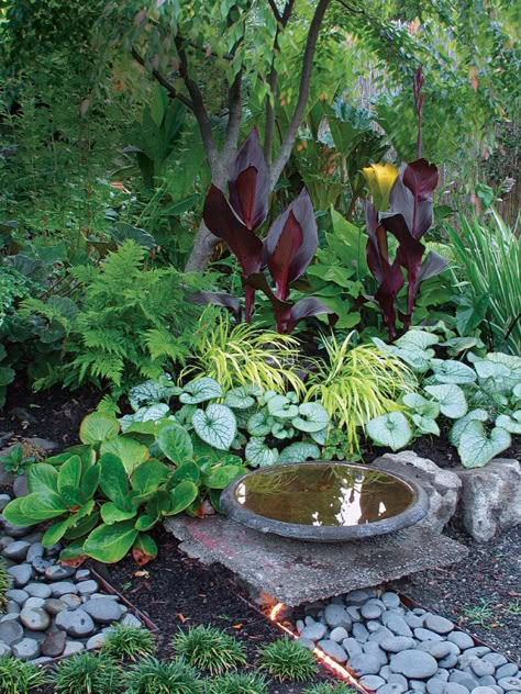 Japanese Garden Landscape, Shade Garden Plants, Tropical Garden Design, Meditation Garden, Shade Gardens, Garden Wallpaper, Fine Gardening, Have Inspiration, Japanese Gardens