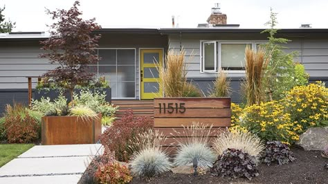 The front yard of this mid-century home's garden went from weedy to wonderful. The secret is low-maintenance plants that provide color all year. Modern Landscaping Front Yard, Mid Century Modern Landscaping, Mid Century Landscaping, Xeriscape Front Yard, Mid Century Landscape, Modern Front Yard, Front Yard Design, Front Landscaping, Garden Makeover