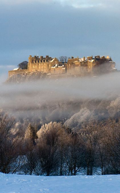 stirling-castle Stirling Castle Scotland, Stirling Castle, William Wallace, Castle Scotland, Bonnie Scotland, Castles In Scotland, Scotland Castles, Scotland Highlands, Royal Residence