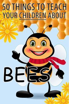 Bee Facts For Kids, How Bees Make Honey, Bees For Kids, Honey Bee Facts, Bee Themed Classroom, Bee Activities, Bee Classroom, Bee Inspired, Bee Friendly