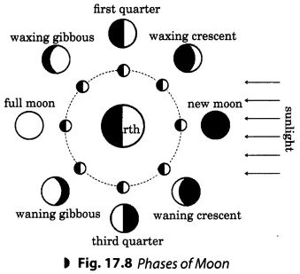 Stars and the Solar System Class 8 Extra Questions Science Chapter 17 - Learn CBSE  #ExtraQuestionsforClass8ScienceChapter17 #Class8Notes Eclipse Ritual, Moon Cycle Tattoo, Moon Facts, Photographing The Moon, Full Moon Phases, Circle Diagram, Moon Magick, Moon Cycle, Witch Spirituality